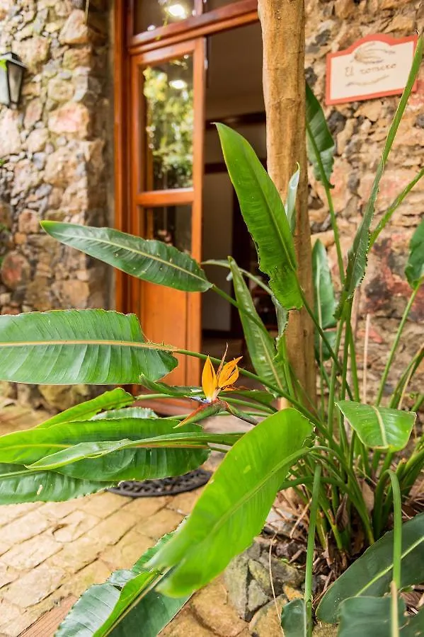 Homeforguest Cosy Rural Flat El Romero With Large Gardens Tacoronte 0*,  Spagna